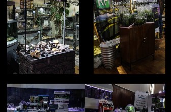 Akvaristika na jednom mestu