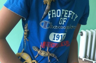 Nada teraristike, upoznajte Aleksandra!