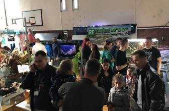 Dugogodišnji ste akvarista i terarista?