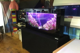 Akvarijum kao deo enterijera