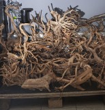 Sunken root (Red moore wood) 1 kg