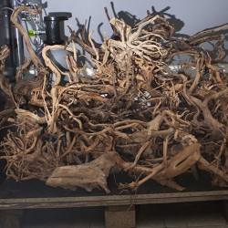 Sunken root (Red moore wood) 1 kg