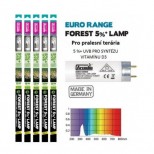 ARCADIA FOREST – FR15