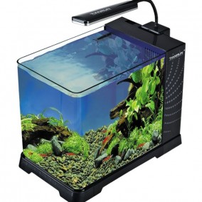 Akvarijum Tianrun AA 104F (25 Litara)