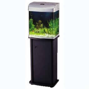 Atman akvarijumi