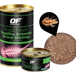 Ocean Free Insta Fresh Artemia Brine Shrimp 100gr