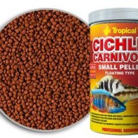 Cichlid Carnivore Small Pellet Tropical Hrana Za Ribice