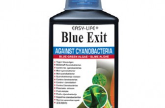 Easy life Blue exit