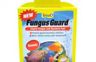 Fungus Guard