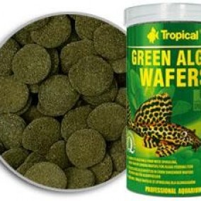 Green Algae Wafers Tropical Tablete I Vafersi