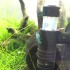 Carbon blue shrimp