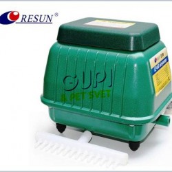 Kompresor Resun LP-60