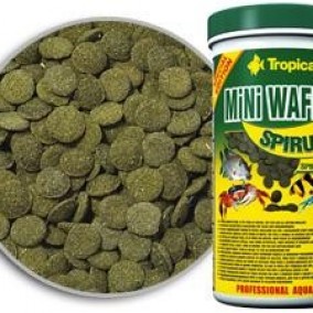 Mini Wafers Spirulina Tropical Tablete I Vafersi