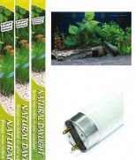 Classica (Arcadia) Natural Daylight T8