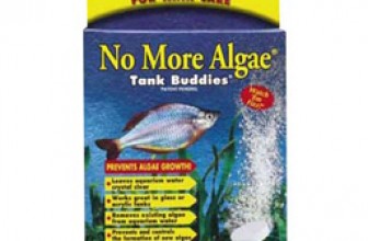 No More Algae