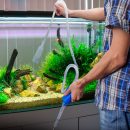 Uputstvo za održavanje slatkovodnog akvarijuma