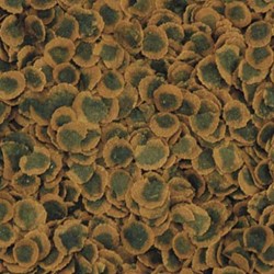 Tetra Pro Vegetable(Algae)