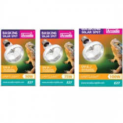 SOLAR BASKING SPOTLIGHT