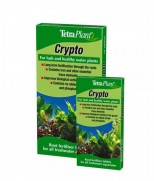 Tetra Crypto
