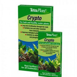 Tetra Crypto