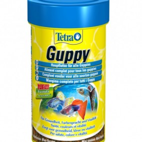 Tetra Guppy food
