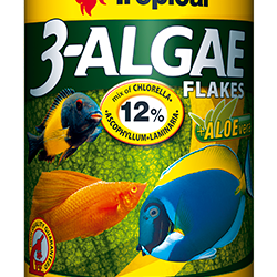 Tropical 3-Algae Listić