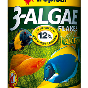 Tropical 3-Algae Listić