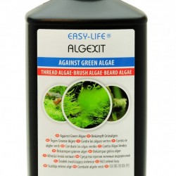 Easy Life AlgExit