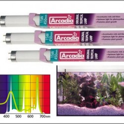 Arcadia Original Tropical T8