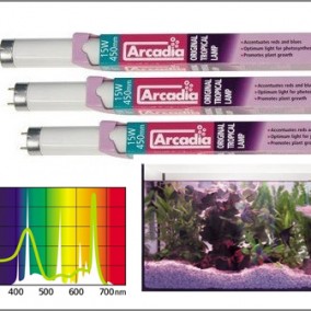 Arcadia Original Tropical T8