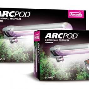 Arc Pod Original Tropical