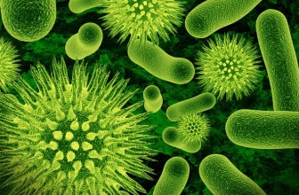 Riblji patogeni i njihova otpornost na lekove