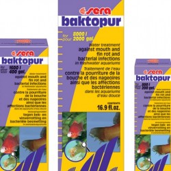 Sera Baktopur