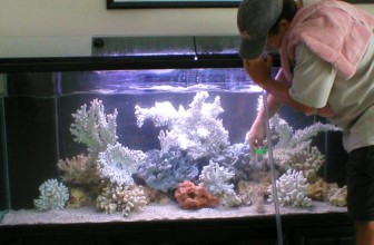 Uputstvo za održavanje morskog akvarijuma