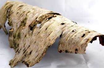 Uređenje terarijuma