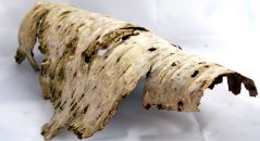 Uređenje terarijuma