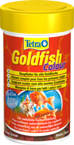 Tetra Goldfish Colour