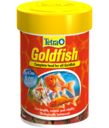 Tetra Goldfish