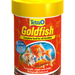 Tetra Goldfish