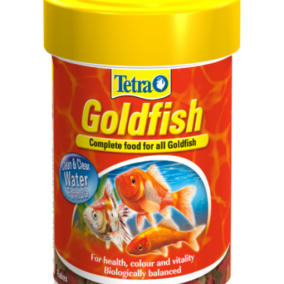 Tetra Goldfish