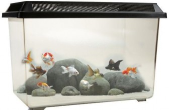 Akvarijm za odgajanje podmlatka