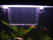 Kako napraviti kotilicu za ribice?