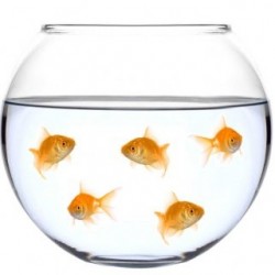 Akvarijumska Kugla 3 Litre