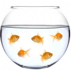 Akvarijumska Kugla 3 Litre