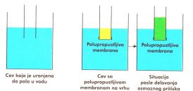 Najsavršenija fitracija vode