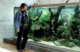 Akvarijume možemo podeliti na nekoliko vrsta