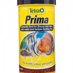 Tetra Prima
