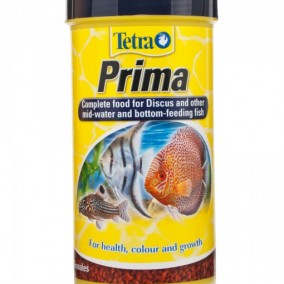 Tetra Prima