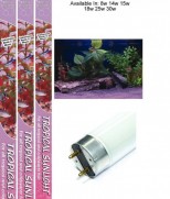 Classica Arcadia Tropical Sunlight T8