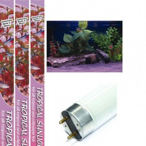 Classica Arcadia Tropical Sunlight T8